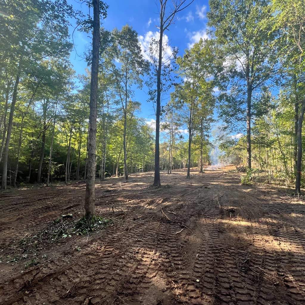 Brush Clearing Service