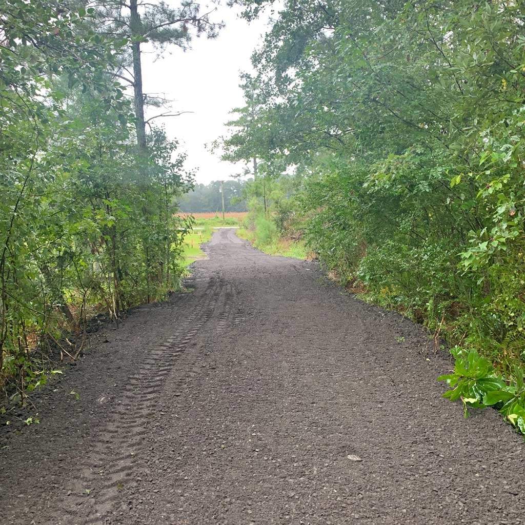 Tree Removal Services